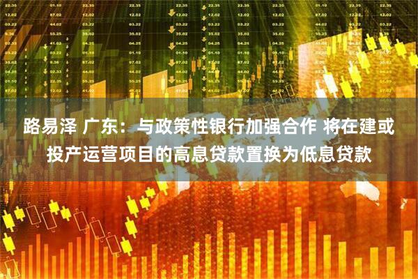 路易泽 广东：与政策性银行加强合作 将在建或投产运营项目的高息贷款置换为低息贷款