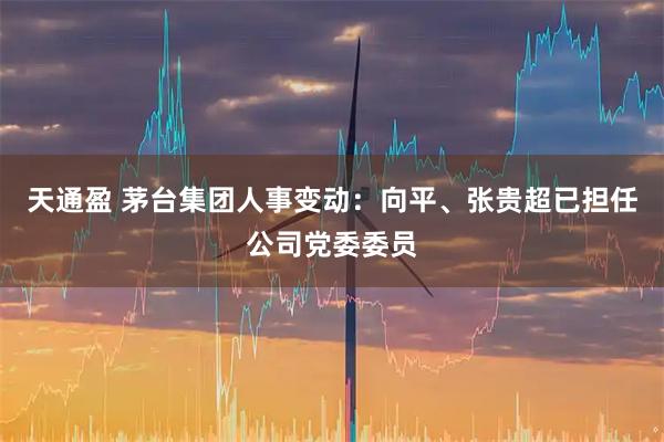 天通盈 茅台集团人事变动：向平、张贵超已担任公司党委委员