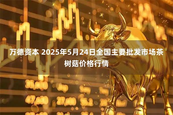 万德资本 2025年5月24日全国主要批发市场茶树菇价格行情