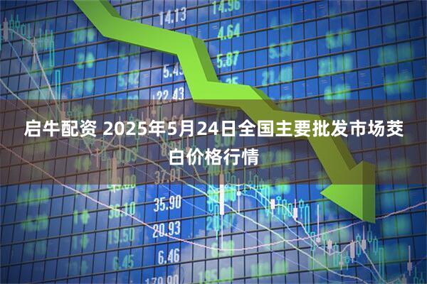 启牛配资 2025年5月24日全国主要批发市场茭白价格行情