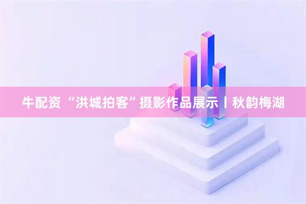 牛配资 “洪城拍客”摄影作品展示丨秋韵梅湖