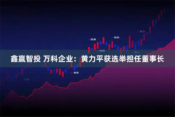 鑫赢智投 万科企业：黄力平获选举担任董事长